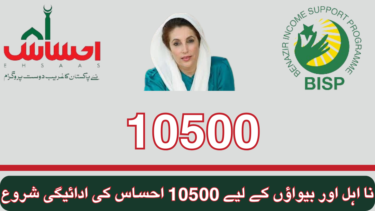 10500 Ehsaas Payment for Women Ineligible and Widows Begins