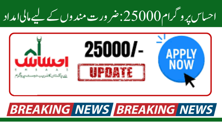 Ehsaas Program 25000: Financial Aid for the Needy