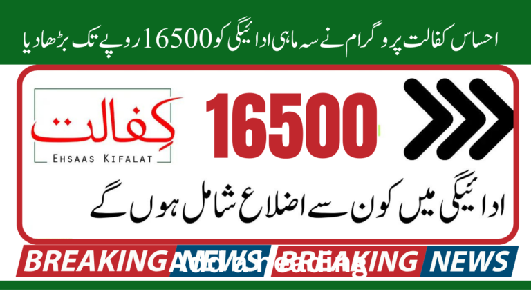 Ehsaas Kafalat Program