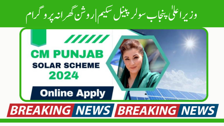 CM Punjab Solar Panel Scheme