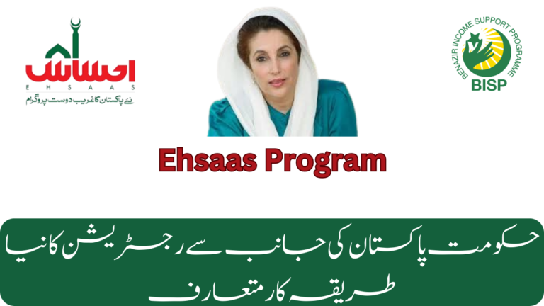 Good News BISP 8171 Online Portal Financial Assistance