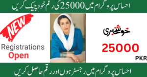 25000 CNIC 8171 Janch Portal 2024 | 8171 Ehsaas Program Janch portal