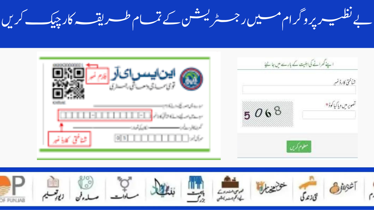 BISP Check All 8171 Registration Methods 2024