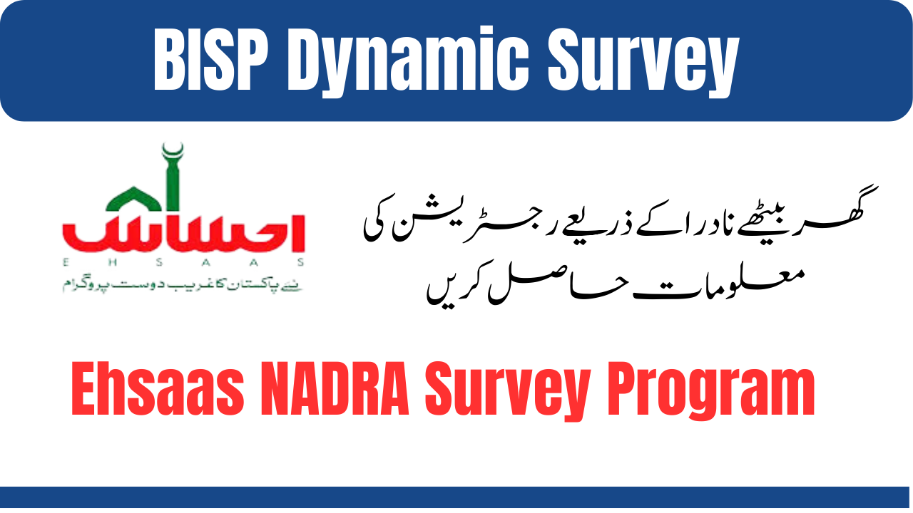 Completing the BISP Dynamic Survey: A Guide for 2024