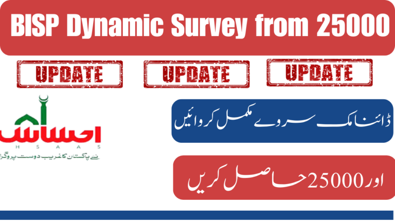 Method for 25000 BISP Dynamic Survey from Tehsil Office| Latest Update