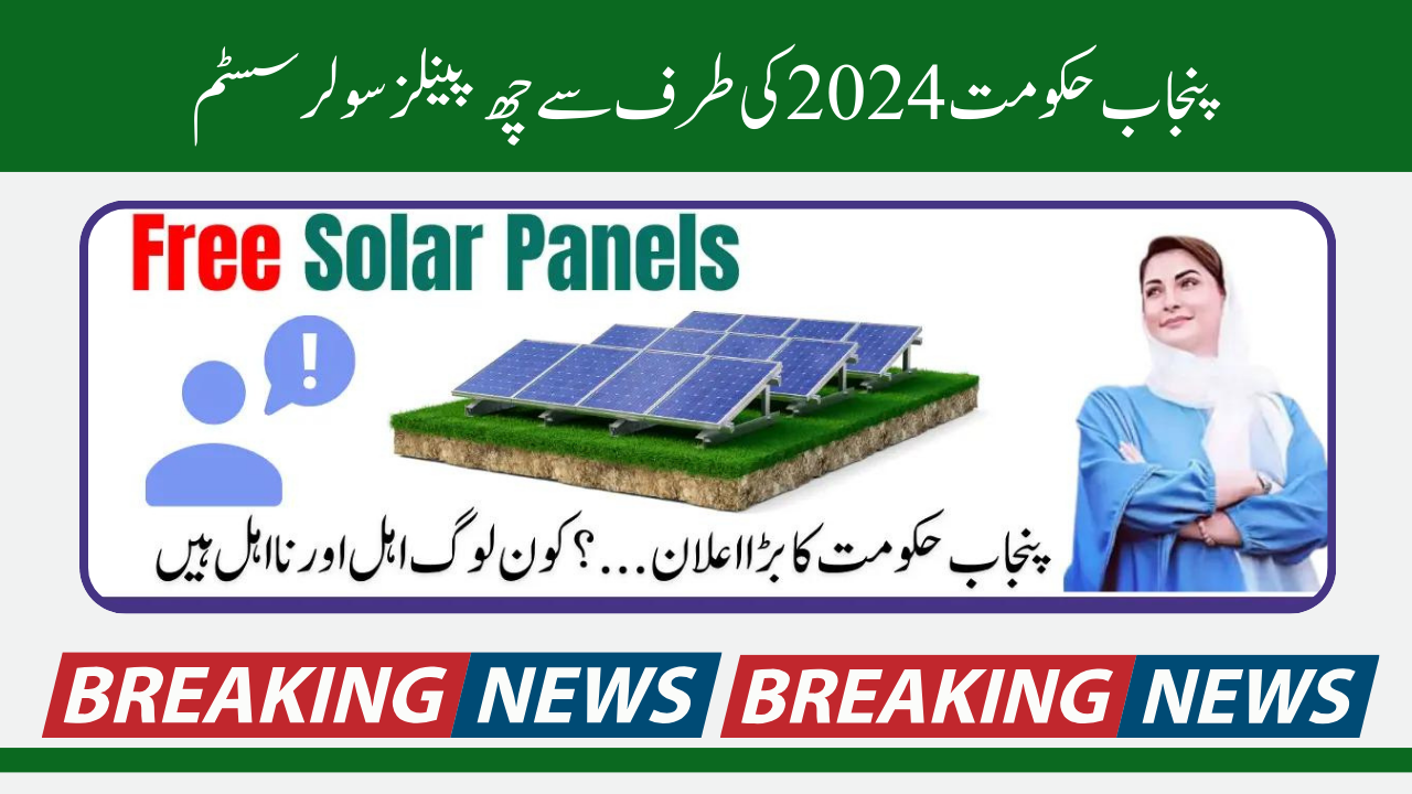 Six Panels Solar System by Punjab Government 2024