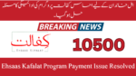 Ehsaas Kafalat Program Payment Issue Resolved For Eligible Families