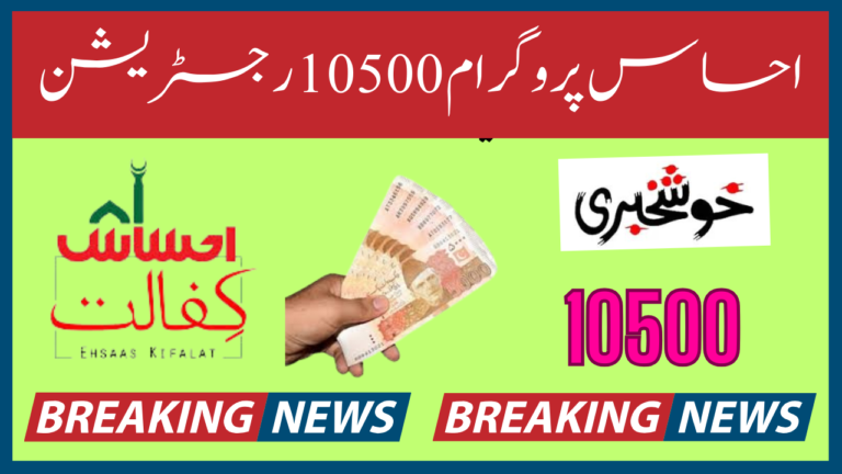 Ehsaas Program 10500 Registration 2024