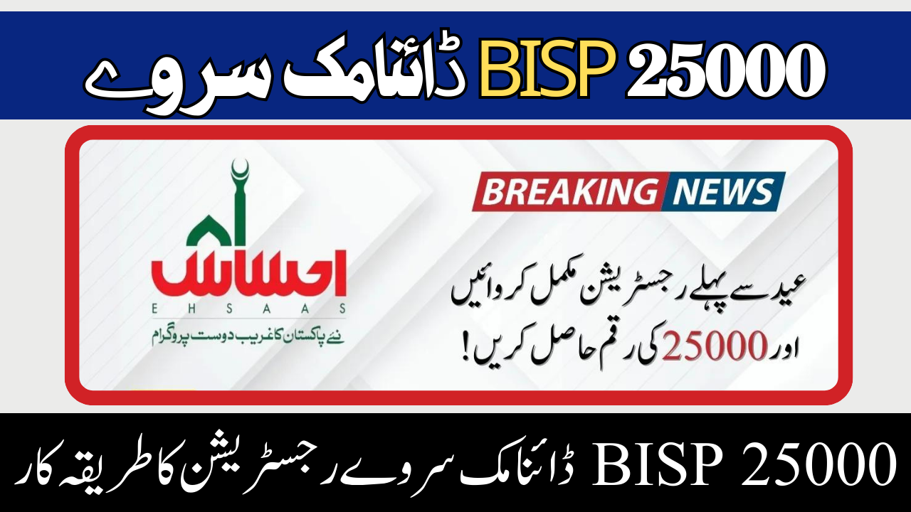 25000 BISP Dynamic Survey