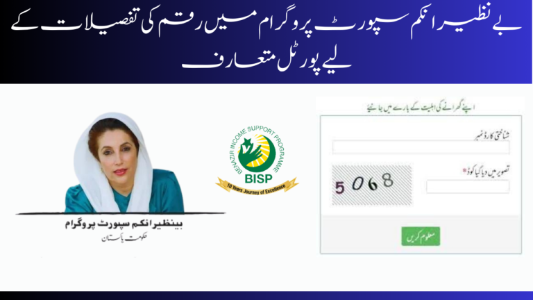 Check Your BISP Program Account Balance Using the 8171 Web Portal