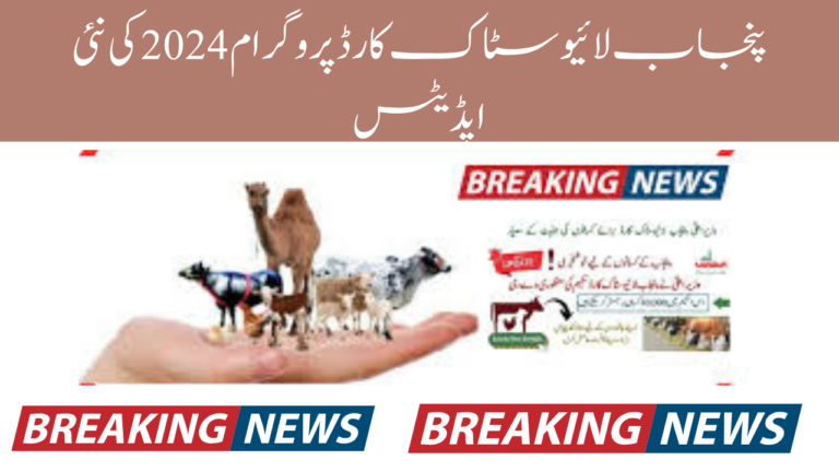 Punjab Livestock Card Program 2024 New Updates