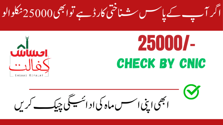 Benazir Kafaalat 25000 Payment Check By CNIC New Method