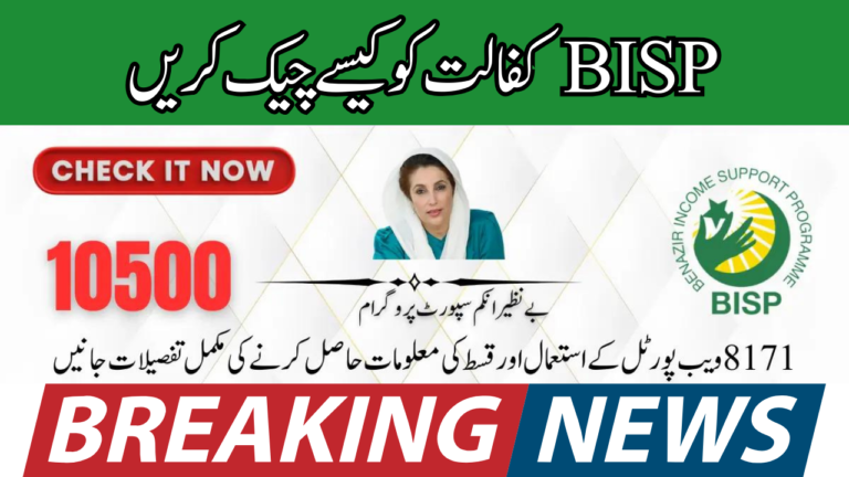 How to Check New Payment BISP Kafalat Through 8171 Web Portal Form