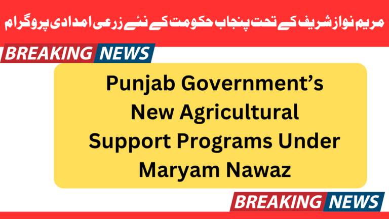 Breaking News: Punjab Government Introduces New Agricultural Support Programs